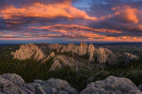 The Hills Are Alive | Black Hills | South Dakota | Max Foster Photography