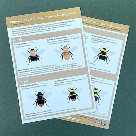 Bumblebee Identification Guide - Joanna Cameron