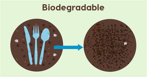 The Difference Between Biodegradable And Compostable Materials ...