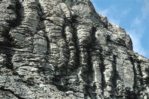 Stromatolites in limestone (Helena Formation (a.k.a. Siyeh… | Flickr