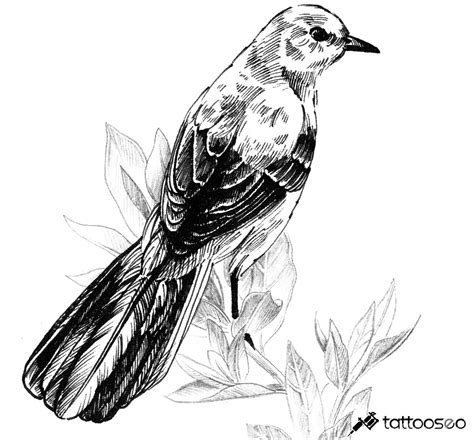 Mockingbird Tattoo Meaning, Designs & Ideas - Tattoo SEO