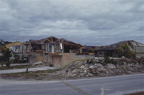 Hurricane Andrew Aftermath Photograph by Carleton Ray - Fine Art America