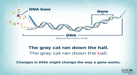 Genetic Causes - Parent Project Muscular Dystrophy