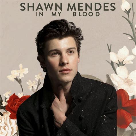 Shawn Mendes Songs Ranked | Return of Rock