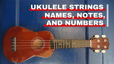 Guide to Ukulele String Names, Notes, and Numbers - Orchestra Central