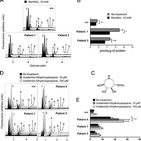 Manipulation of the sialic acid synthesis pathway alters GSL ...