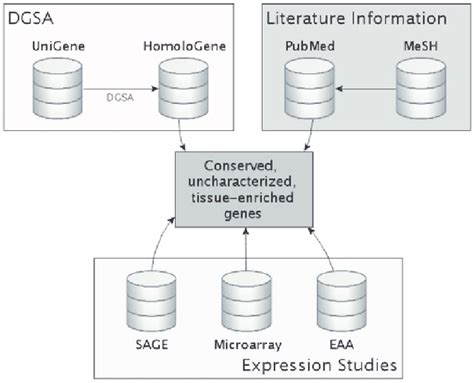 Database scheme of C-It. Our DGSA was applied to the UniGene profiles... | Download Scientific ...