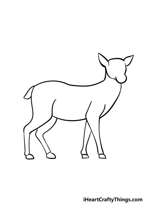 Deer Drawing - How To Draw A Deer Step By Step!