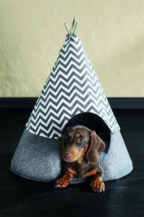 Aldi have released a new pet range including a dog couch.