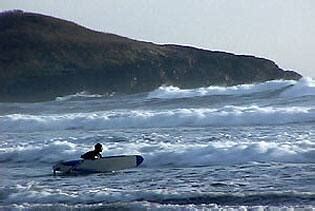 CBC.ca | The Afternoon Edition | Surfing in Tofino