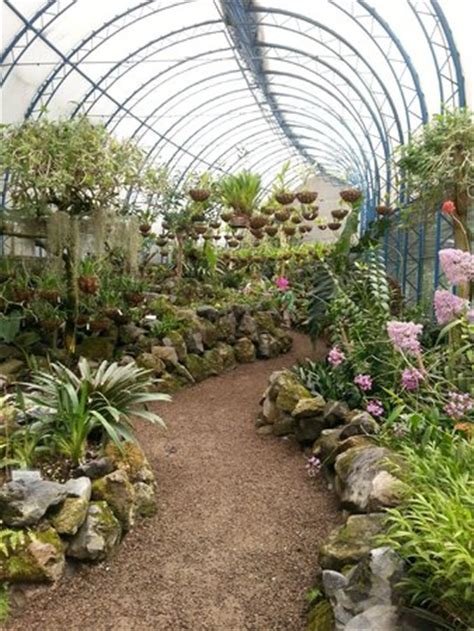 Uno de los invernaderos con orquideas - Picture of Jardin Botanico de Quito, Quito - TripAdvisor