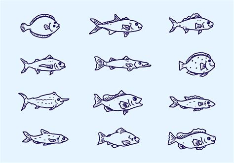 the different types of fish are drawn in blue ink on a light blue background illustration