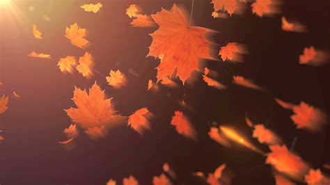 falling maple leaves Motion Background 00:14 SBV-300451256 - Storyblocks