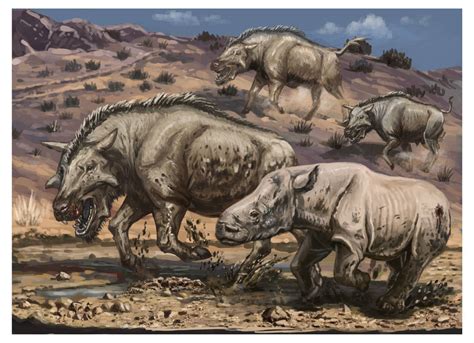 Three Archaeotherium chasing a Subhyracodon : r/Naturewasmetal