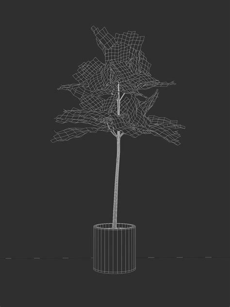 Fiddle Leaf Fig free VR / AR / low-poly 3D model | CGTrader