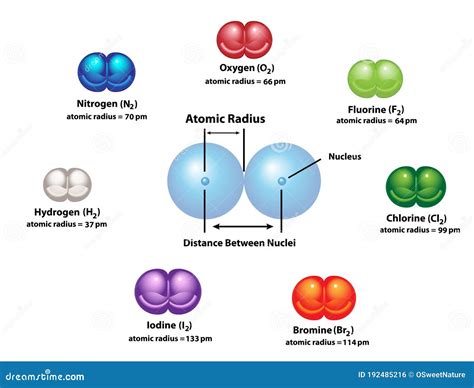 Atomic Radius of Diatomic Molecules Stock Vector - Illustration of hydrogen, distance: 192485216