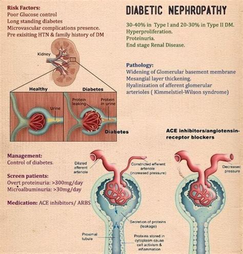 Diabetic Nephropathy Diet Management Online - swsoftware