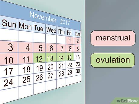 3 Ways to Track Your Ovulation - wikiHow