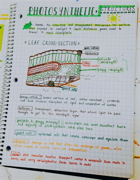 Biology Notes