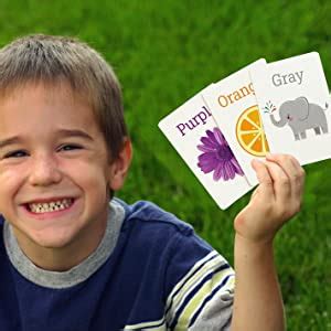 Colors and Shapes Flash Cards : Peter Pauper Press: Amazon.co.uk: Books