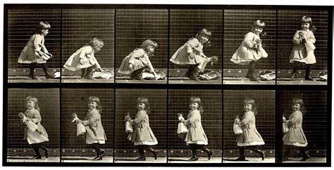 Eadweard Muybridge - Human and Animal Locomotion. Plate 481. For Sale at 1stDibs | muybridge ...