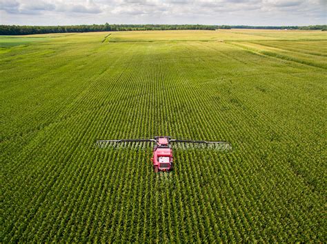 Can cover crops clean up the Corn Belt?