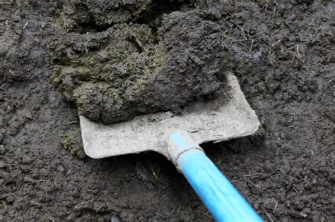 Easy Guide: Composting Cow Manure - Grower Today