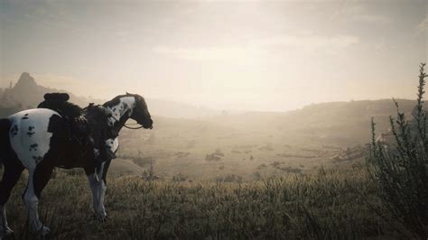 Pretty photo of my horse Juan : r/RedDeadOnline