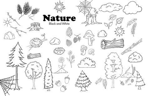 Nature Clip Art Line Drawings Digital Stamps Hiking - Etsy