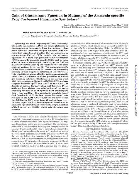 (PDF) Gain of Glutaminase Function in Mutants of the Ammonia-specific Frog Carbamoyl Phosphate ...