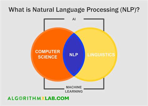 10 Amazing Examples Of Natural Language Processing - Algorithm-X Lab