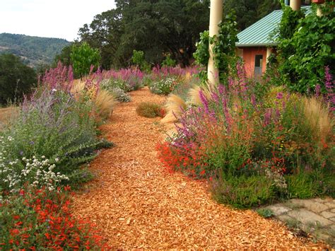 A Hopland, CA Garden filled with color and life. | Kate Frey Sustainable Gardens | California ...