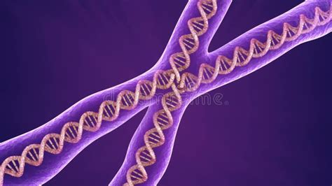 Chromosome and Molecule Icon Animation Stock Video - Video of spiral, chromosome: 222337337