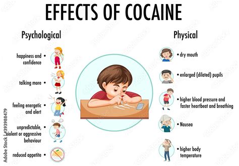 Effects of cocaine information infographic Stock Vector | Adobe Stock