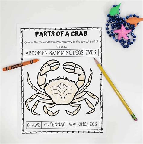 Free Parts of a Crab Worksheet