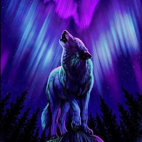 Anime Purple Wolf