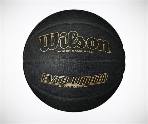 Wilson Evolution Black Edition Basketball | GearCulture