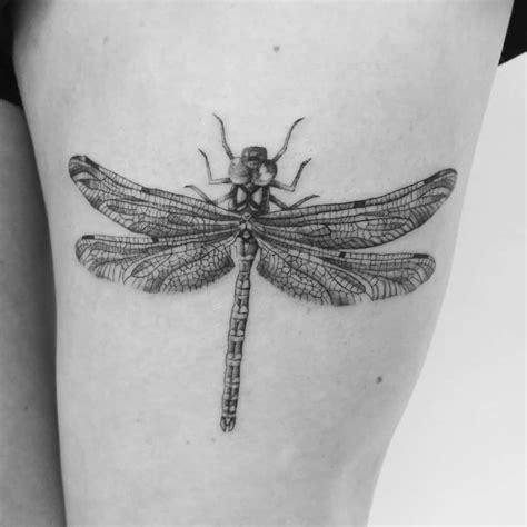 101 Dragonfly Tattoo Designs - [Best Rated Designs in 2021]