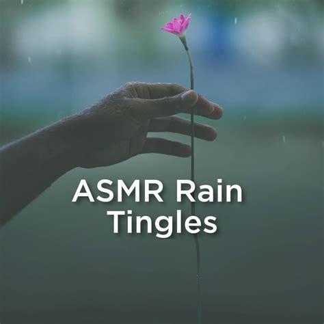 ‎Asmr Rain Tingles by Relaxing Rain Sounds & ASMR Rain Sounds on Apple ...