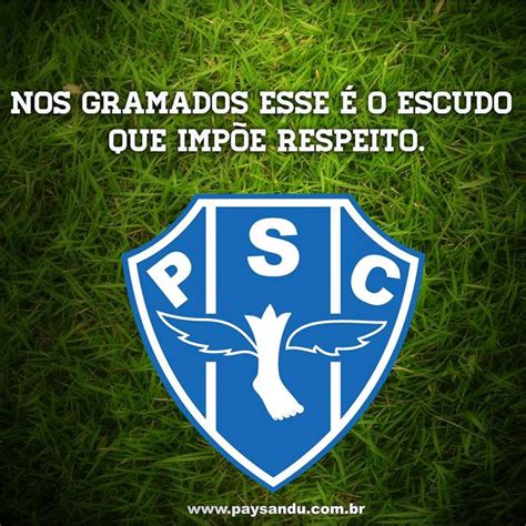 Paysandu Sport Club Oficial | Sport team logos, Soccer world, Logos