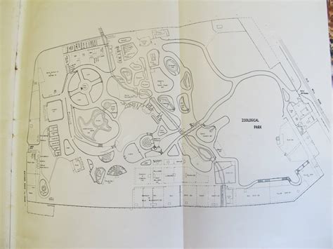 Auckland Zoo Map c. 1950 - ZooChat