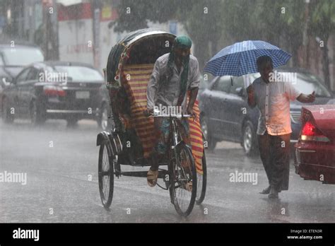 Dhaka, Bangladesh. 13th June, 2015. Rickshaw pullers carry passengers in a rain-soaked street of ...