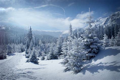 Winter mountain scenery stock photo. Image of harmony - 23730730