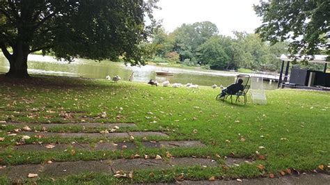 General View of Zoo Lake, Boat Ride and freeroaming Dalmatian Pelicans ...