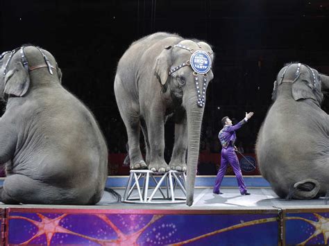 Ringling Bros. And Barnum & Bailey Circus To End 'The Greatest Show On Earth' : The Two-Way : NPR