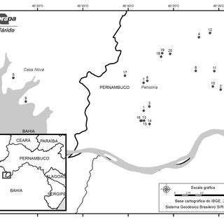 Map of the cities Petrolina-PE and Casa Nova-BA with the 20 grapevine ...