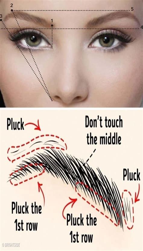 Pinterest - Modern Design 4 in 2020 | Perfect eyebrows, Best eyebrow products, Eyebrow tutorial ...