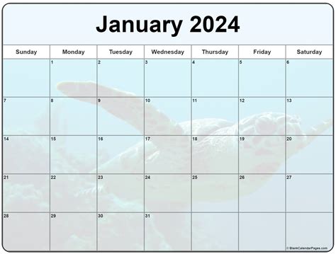 Collection of January 2023 photo calendars with image filters.