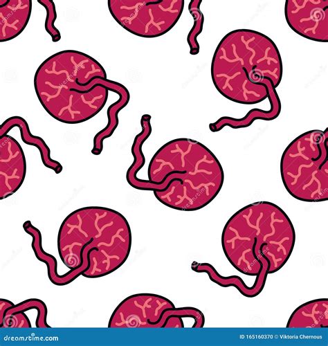 Placenta Seamless Doodle Pattern, Vector Illustration Stock ...