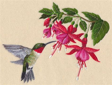 Ruby-Throated Hummingbird and Fuchsia design (M12237) from www ...